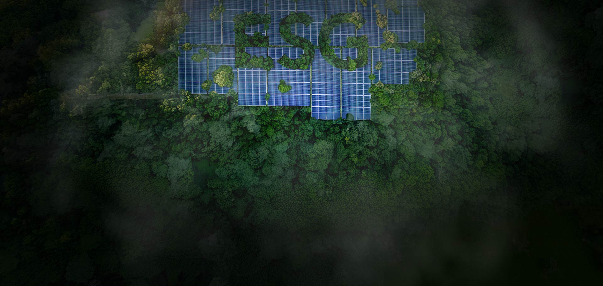 solar panels among vegetation